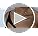 Aidenn Dainty Gold Silver Necklace for Women Girls Trendy Non Tarnish 14K Gold Plated Cubic Zirconia Necklaces Cute Flower Choker Necklace Stack for Wedding Prom Brides Jewellery